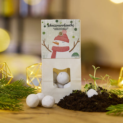 Weiße Blumenmurmeln Schneemannbäuche zu Weihnachten