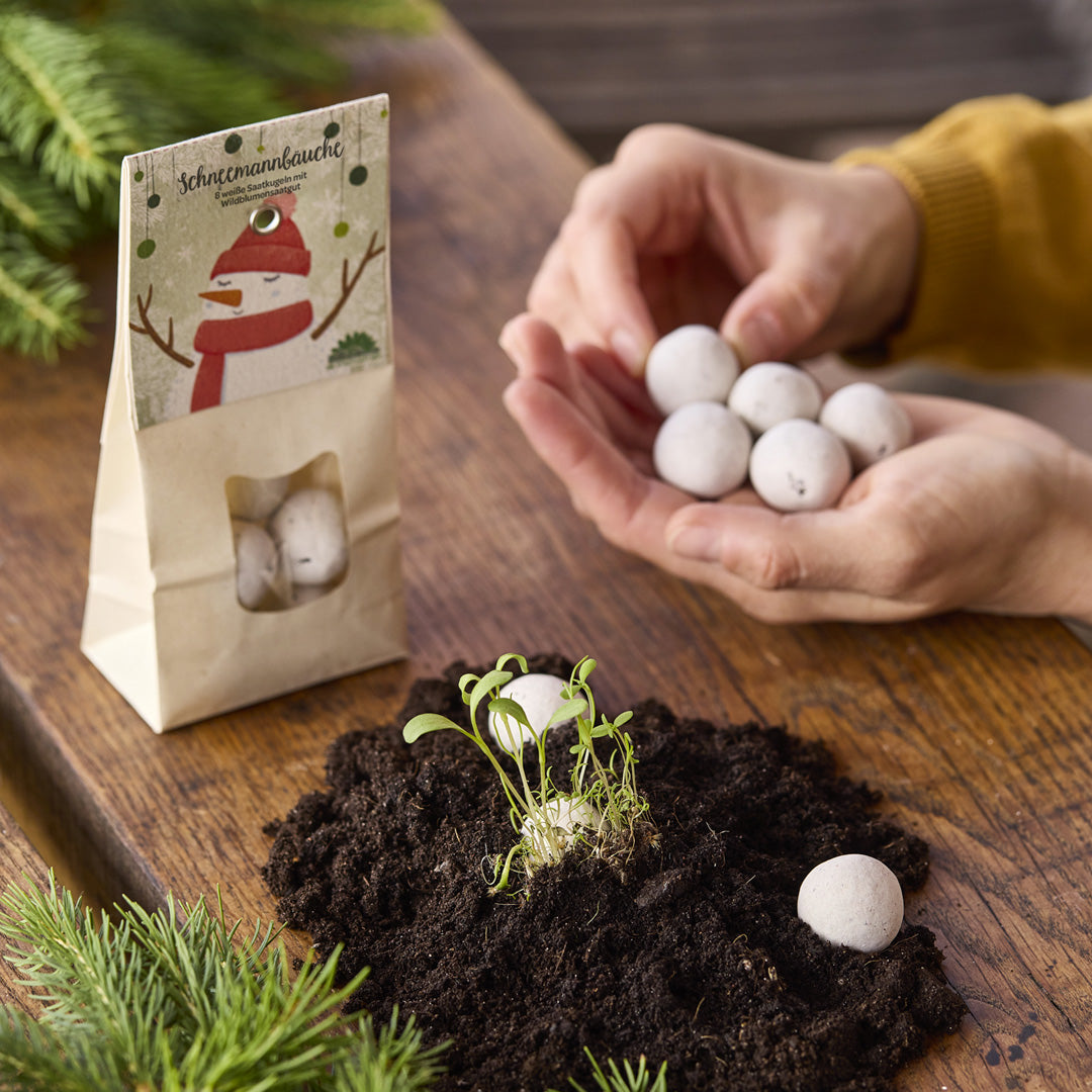 Schneemannbäuche – weitere Ansicht der weißen Blumenmurmeln