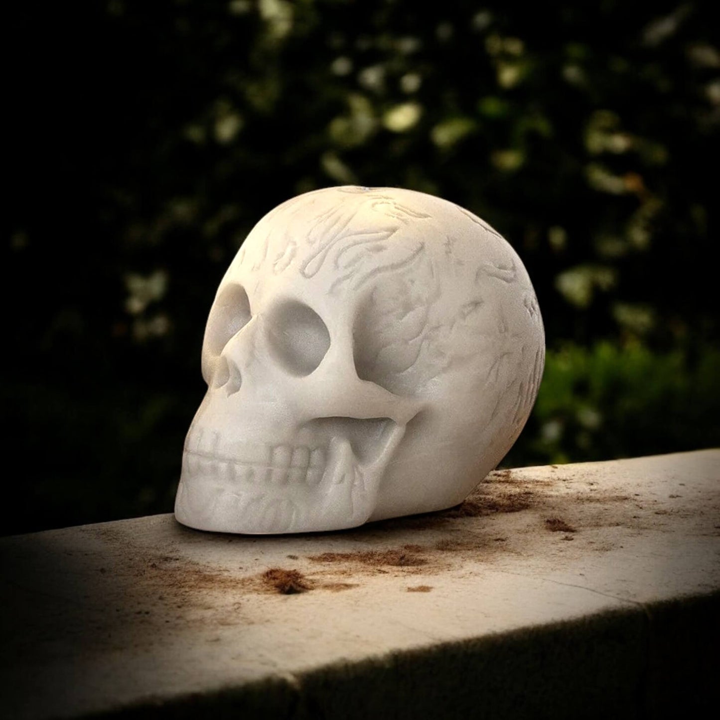 Dark skull (L) – symbol of gothic aesthetics