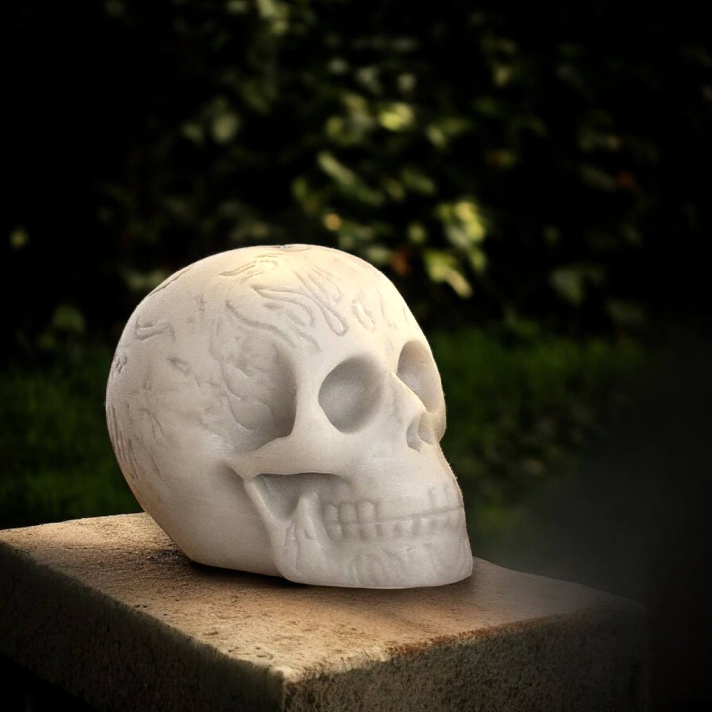 Dark skull (L) – symbol of gothic aesthetics