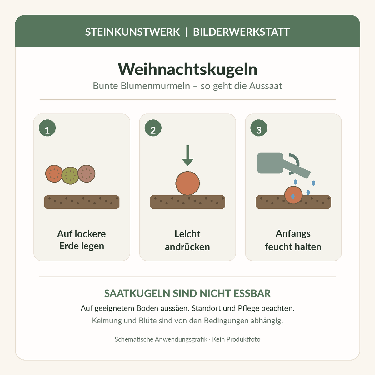 Weihnachtskugeln-Blumenmurmeln: schematische Aussaatanleitung, Erde andrücken und feucht halten