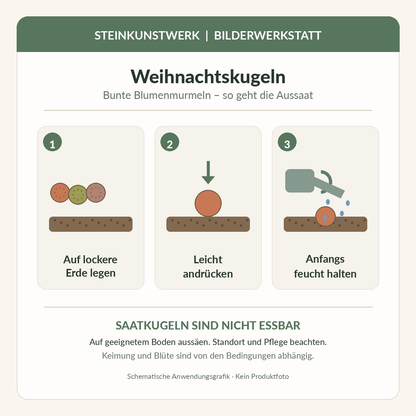 Weihnachtskugeln-Blumenmurmeln: schematische Aussaatanleitung, Erde andrücken und feucht halten