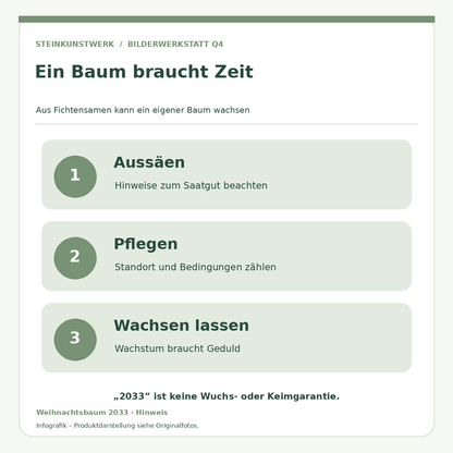 Fichten-Saatgut Weihnachten 2033 – Anzuchtidee ohne Wuchsgarantie
