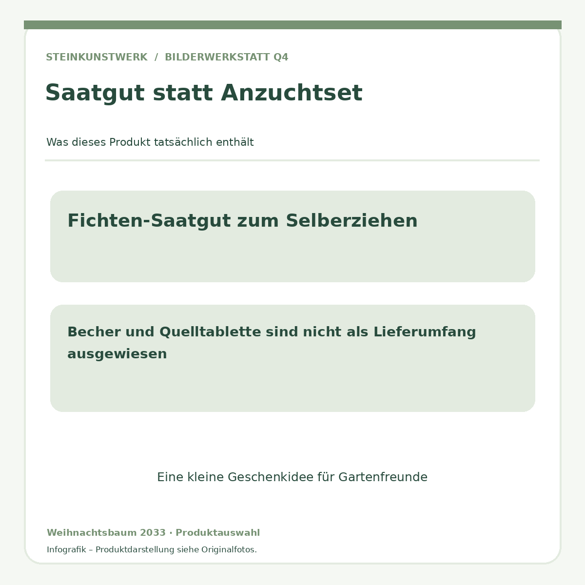 Fichten-Saatgut Weihnachtsbaum 2033 – Hinweise zum Lieferumfang ohne Anzuchtset
