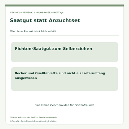 Fichten-Saatgut Weihnachtsbaum 2033 – Hinweise zum Lieferumfang ohne Anzuchtset