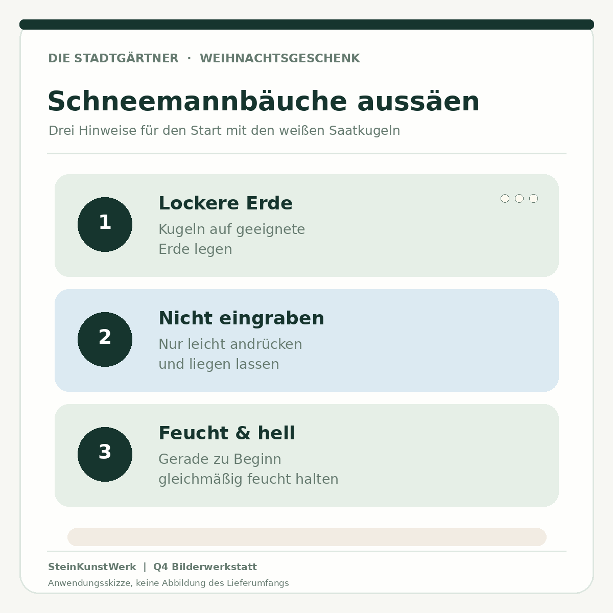 Schneemannbäuche Blumenmurmeln – Aussaat auf lockere Erde und Pflegehinweise als Infografik