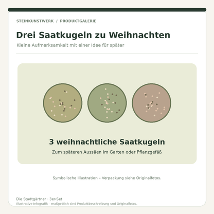 Infografik: Weihnachtliches Saatkugel-Set mit drei Saatkugeln zum späteren Aussäen