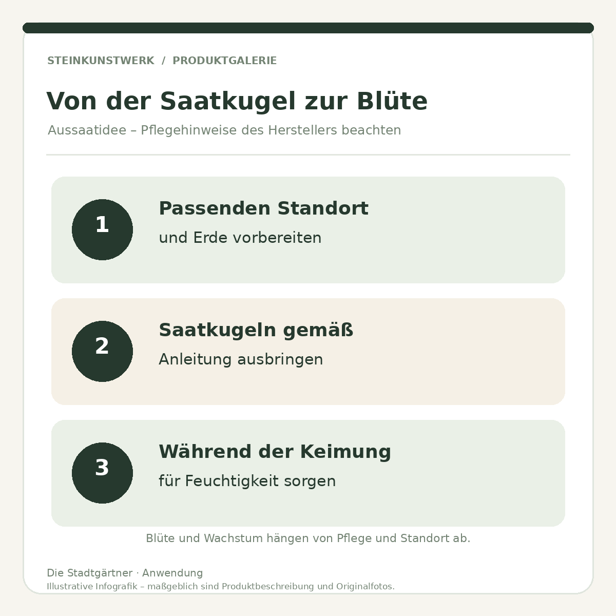 Anwendungshinweise für Saatkugeln: Standort vorbereiten, nach Anleitung ausbringen und feucht halten