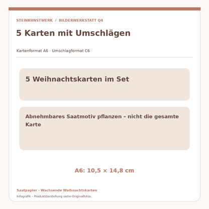 Fünf Weihnachtskarten mit Umschlag und abnehmbarem Saatpapier – A6/C6