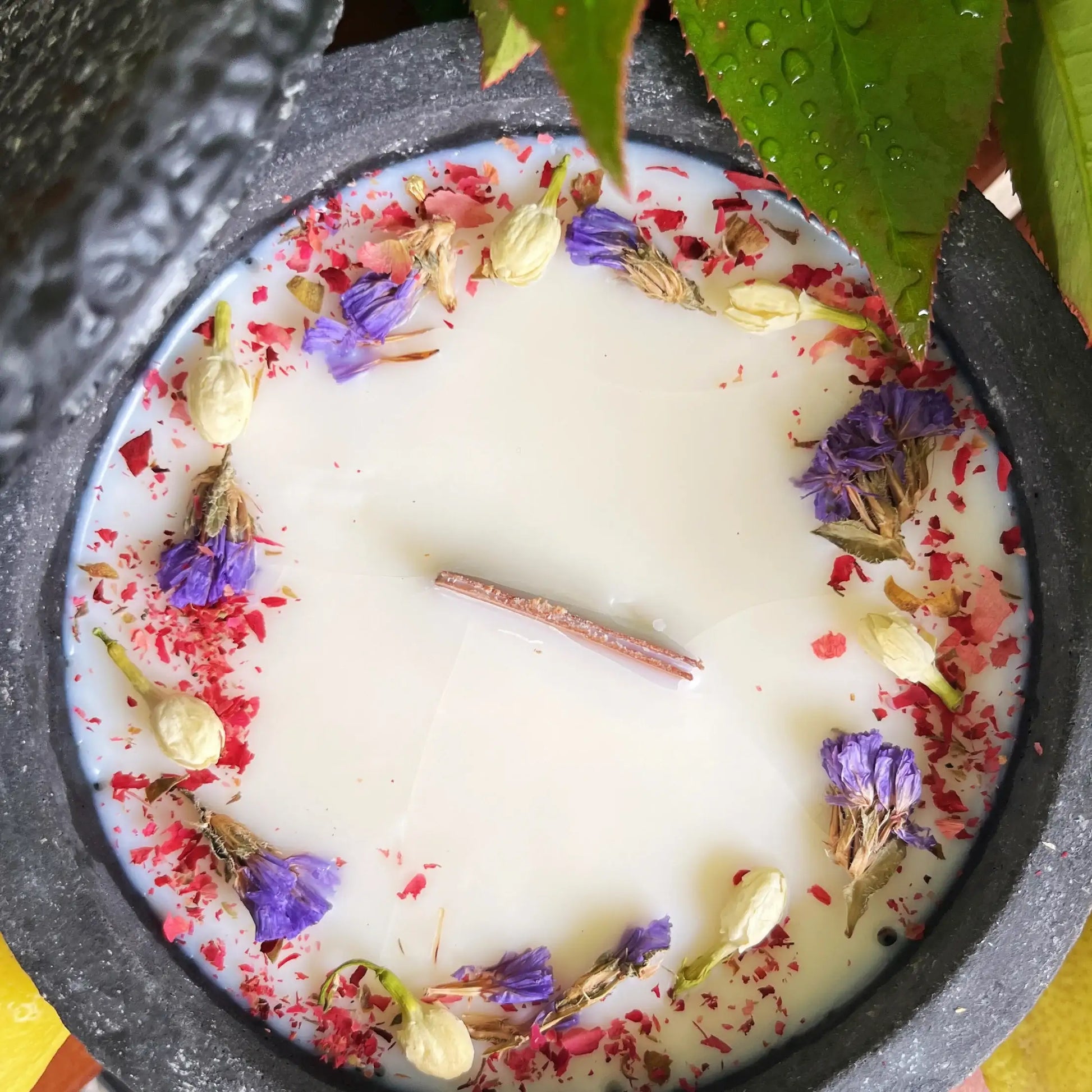 Black Edition HANDGEMACHTE Citronella BETONKERZE - Stilvolle Sojawachskerze für Ihr Zuhause. Outdoor Kerze mit Blütenverzierung und HOCHWERTIGEM Holzdocht aus dem Südschwarzwald - by SteinKunstWerk | Outdoor aus nachhaltiger Herstellung