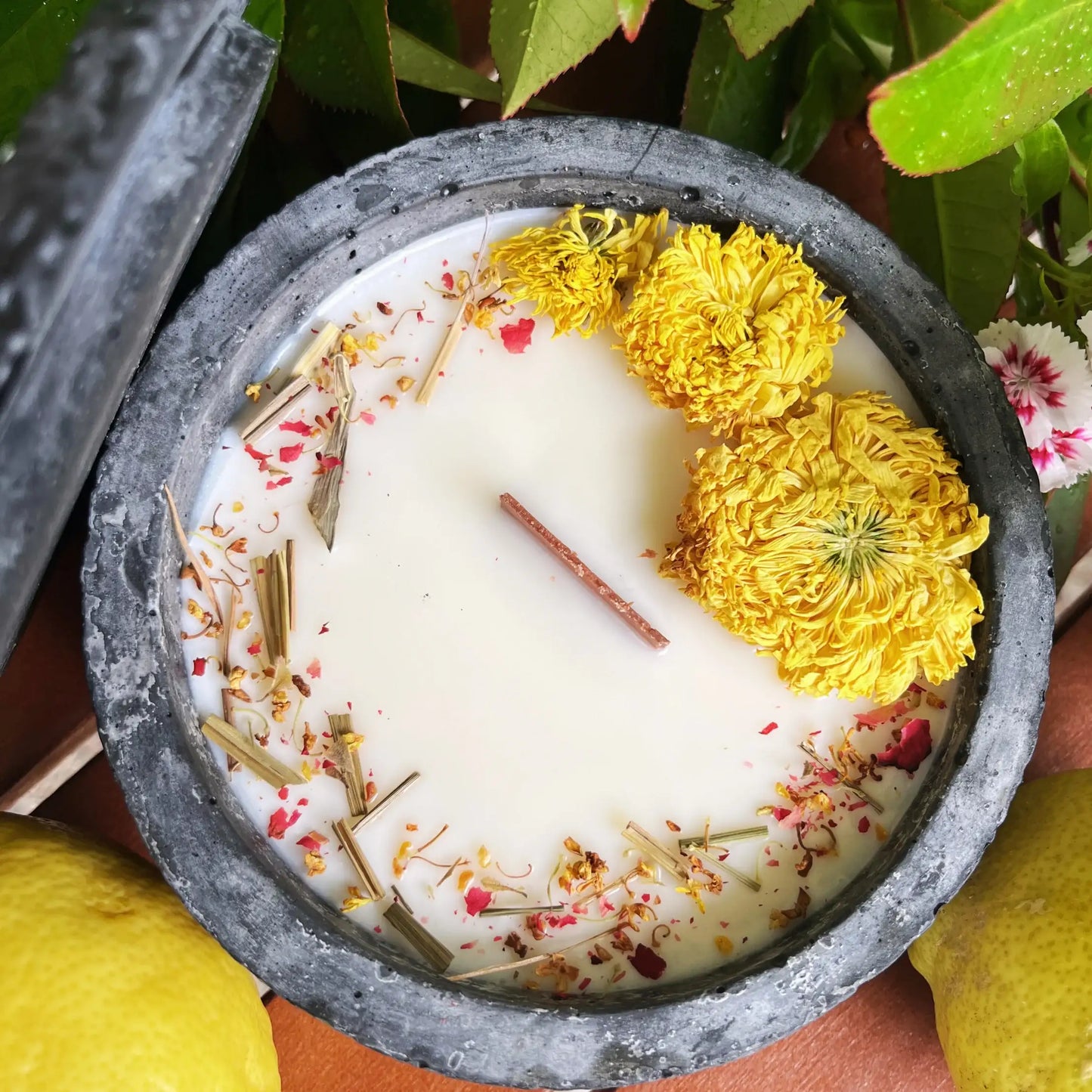 Black Edition HANDGEMACHTE Citronella BETONKERZE - Stilvolle Sojawachskerze für Ihr Zuhause. Outdoor Kerze mit Blütenverzierung und HOCHWERTIGEM Holzdocht aus dem Südschwarzwald - by SteinKunstWerk | Outdoor aus nachhaltiger Herstellung