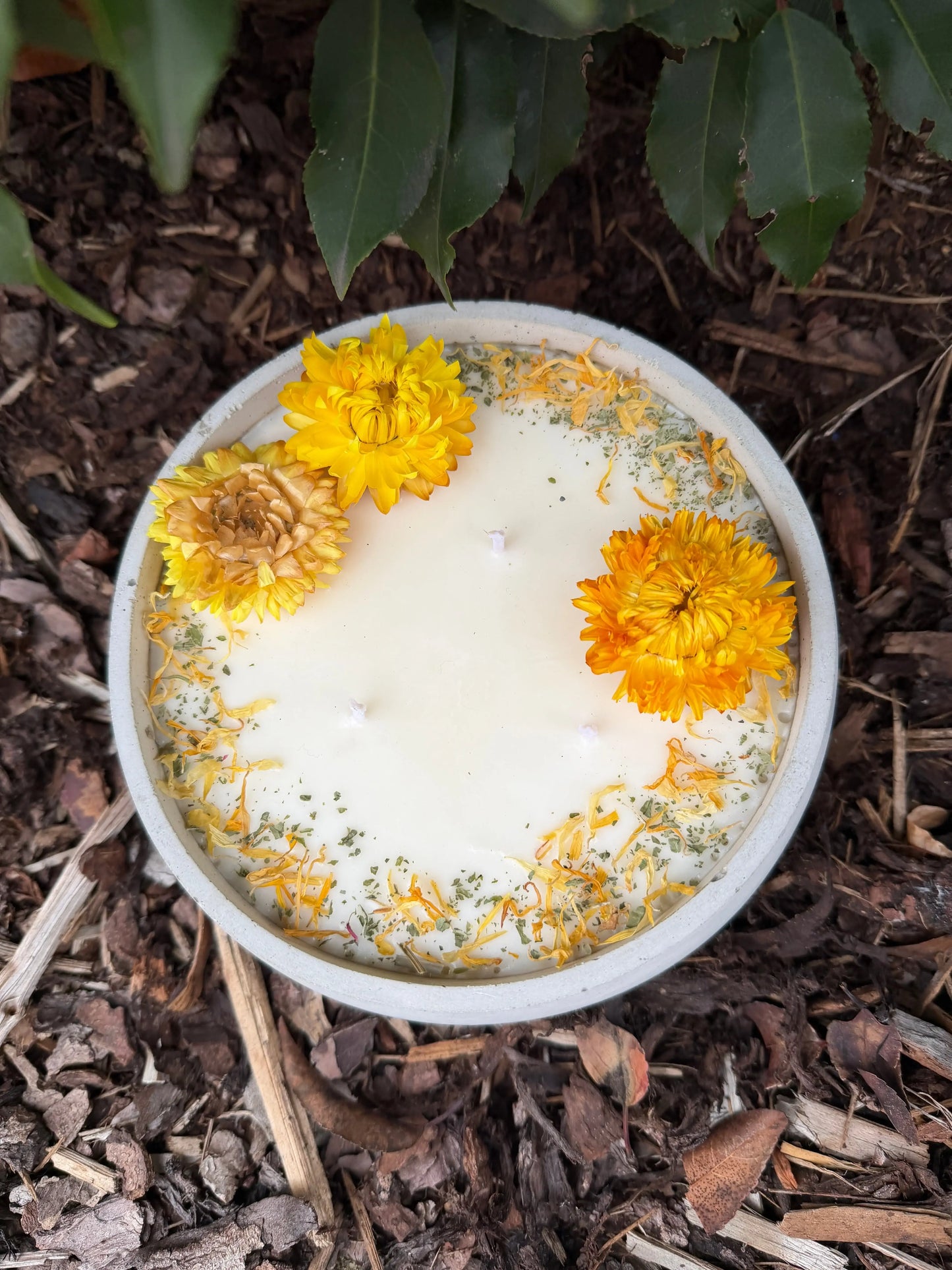 XL Betonkerze "Big Sunshine" – 3-Docht & gelbe Blüten | 18cm | Handgegossen