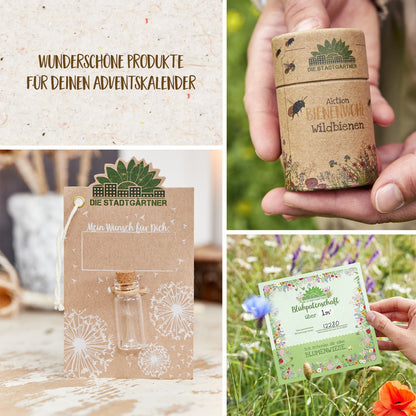 6er-Adventskalender-Set mit kleinen Naturgeschenken und Saatgutideen