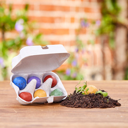 6 Osterblumen-Saatkugeln im Mini-Eierkarton – Produktansicht