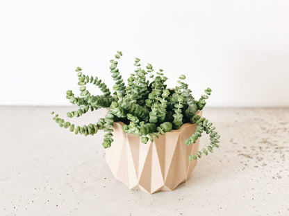 Origami Indoor-Pflanzgefäß – geometrisch