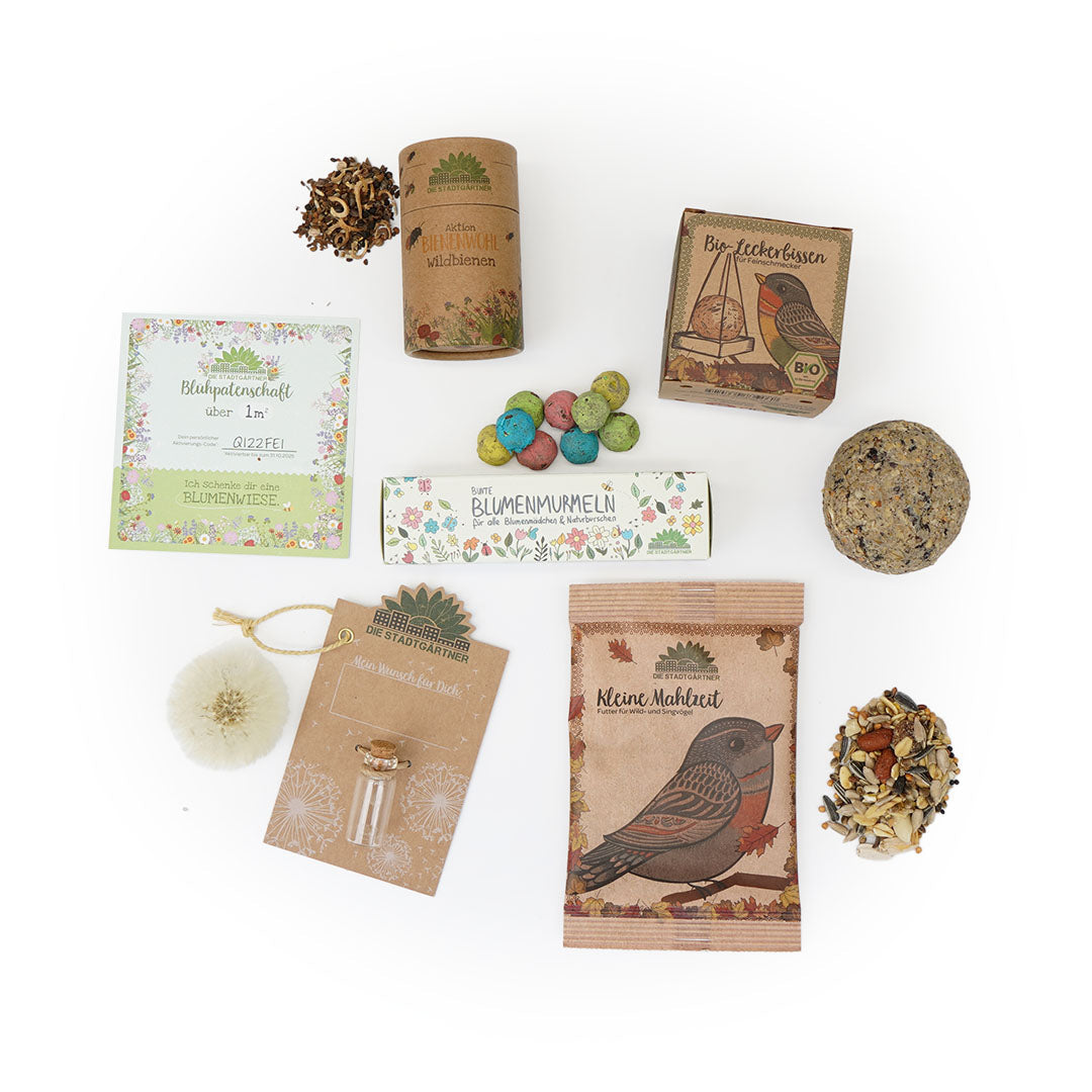 6er-Set für den Adventskalender mit kleinen Naturgeschenken