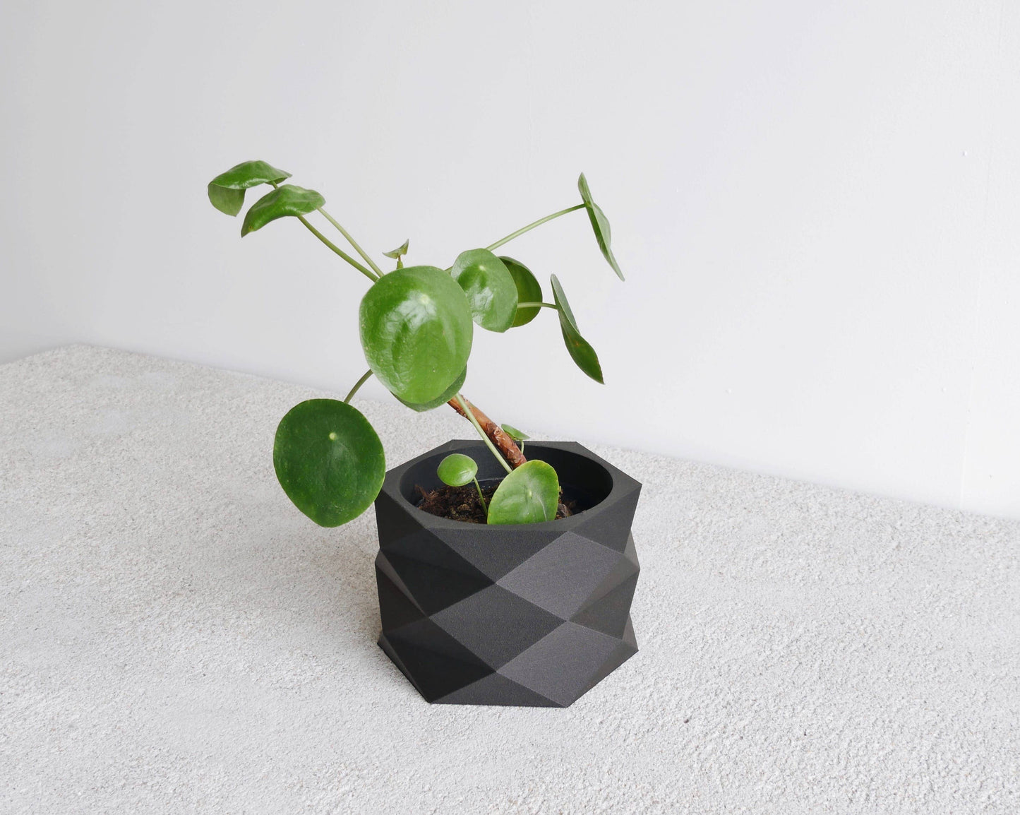Diamant Indoor-Pflanzgefäß – Natur oder Schwarz