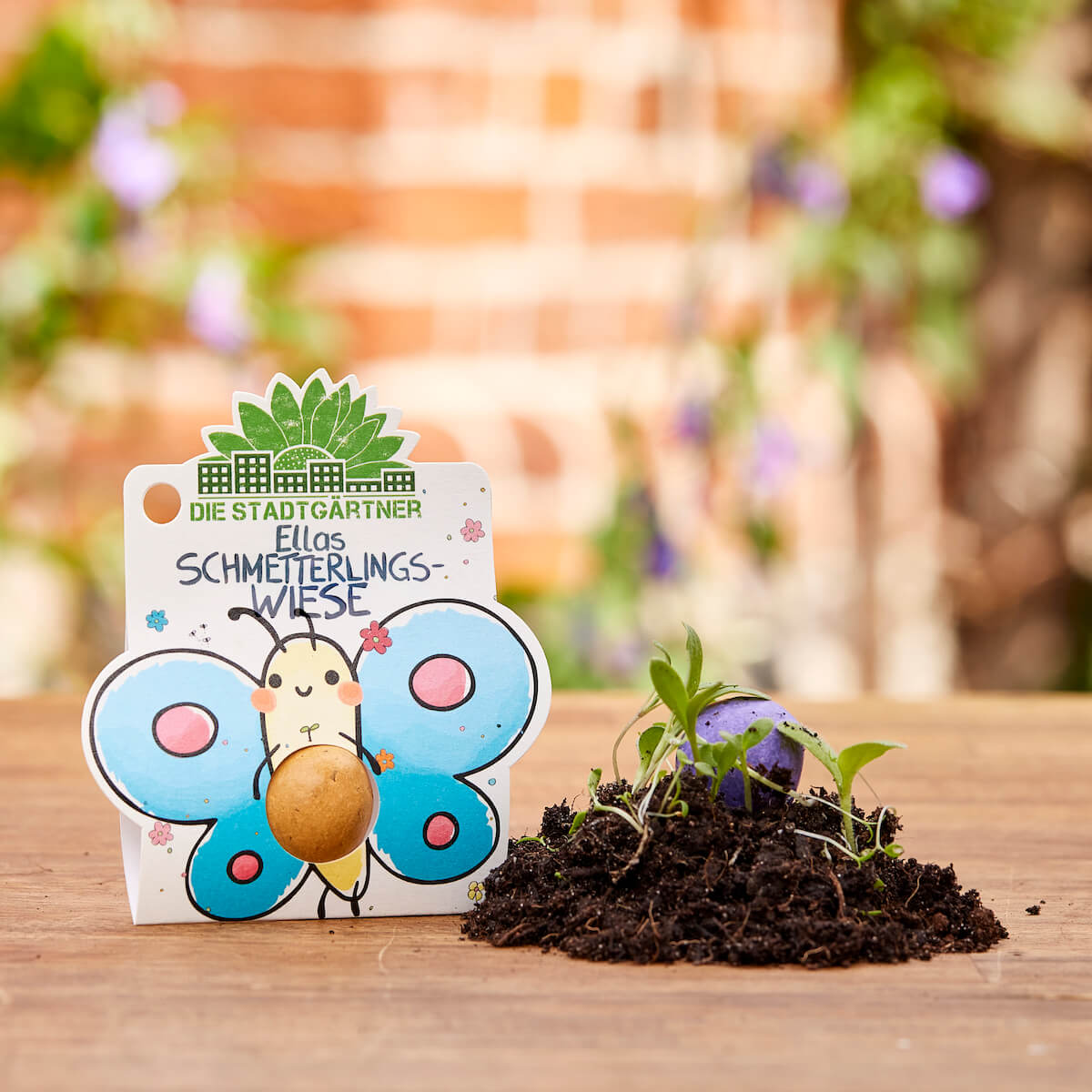 3 Blumenmurmeln – bunte Saatkugeln mit Wildblumen