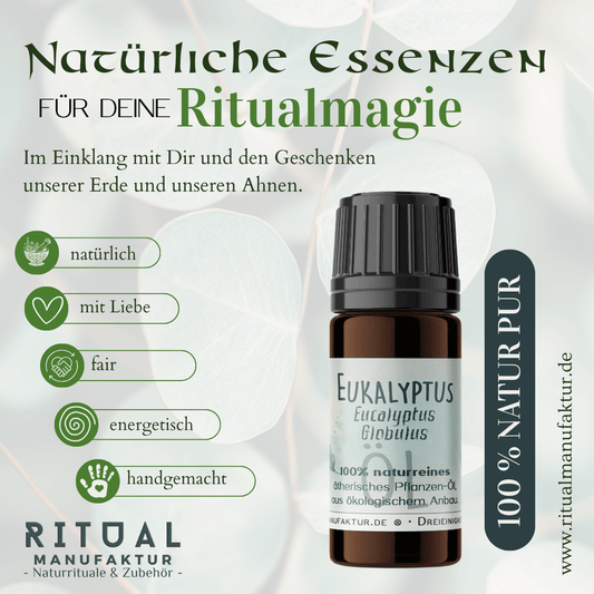 Eukalyptus ätherisches Öl – weitere Produktansicht 1