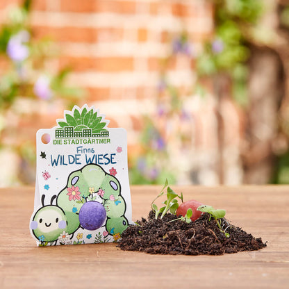 3 Blumenmurmeln – bunte Saatkugeln mit Wildblumen