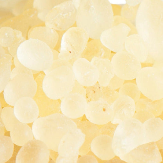 Mastix Tränen Räucherharz – weitere Produktansicht