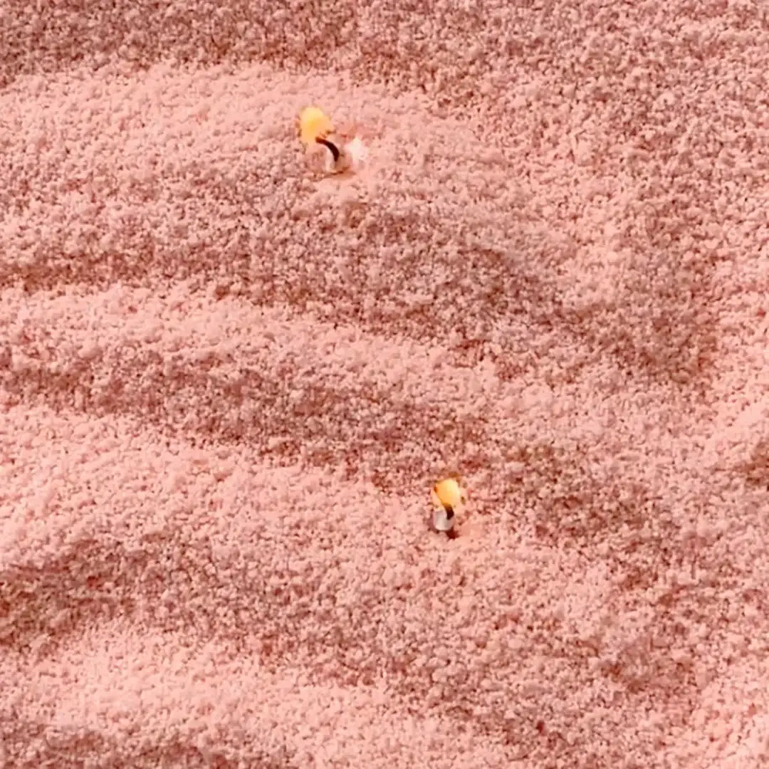 Das Kerzenpulver Nachfüllset vereint Eleganz, ruhige Farbharmonie und nachhaltige DIY-Gestaltung. Eine moderne, sanfte Kerzenlösung für bewusste Wohnmomente.