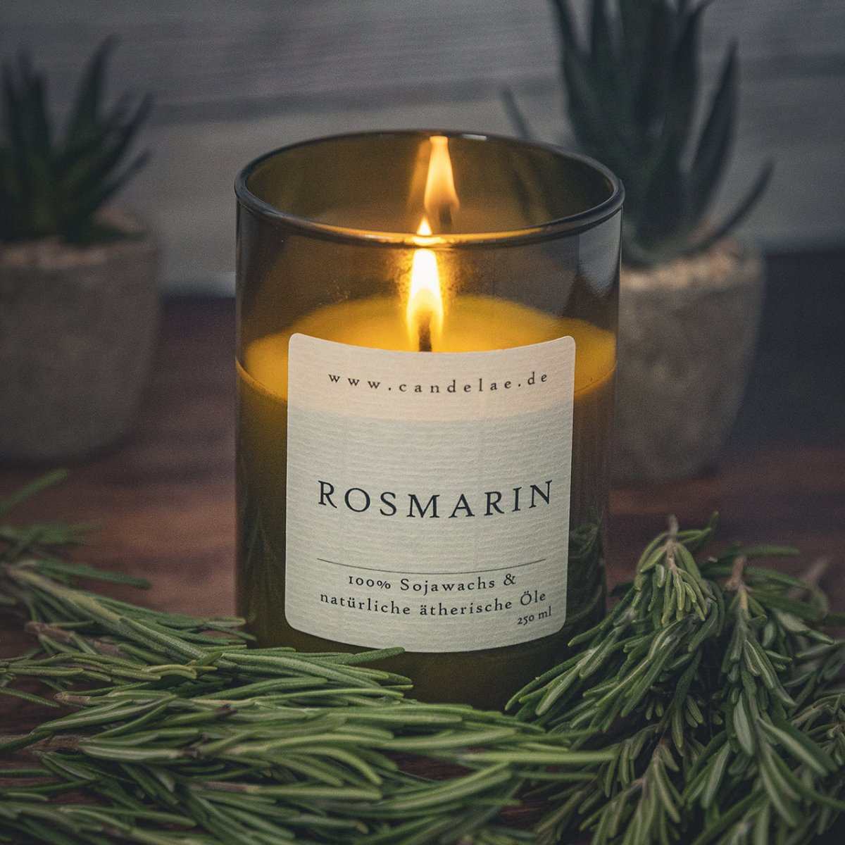 Rosemary Scented Candle – Herbal Scent, Clarity & Focus