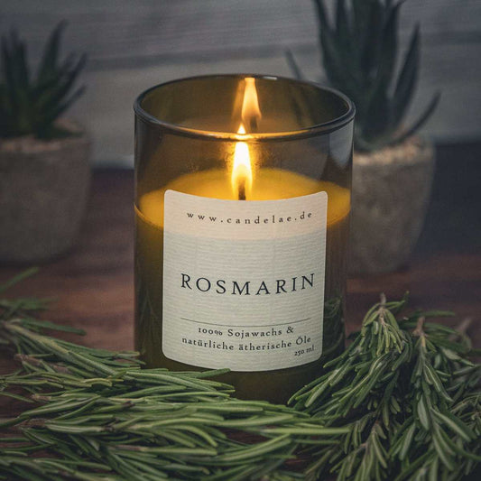 Rosemary Scented Candle – Herbal Scent, Clarity & Focus