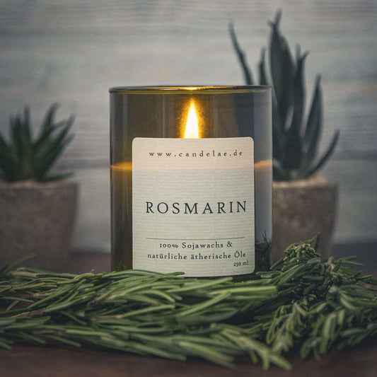 Rosemary Scented Candle – Herbal Scent, Clarity & Focus