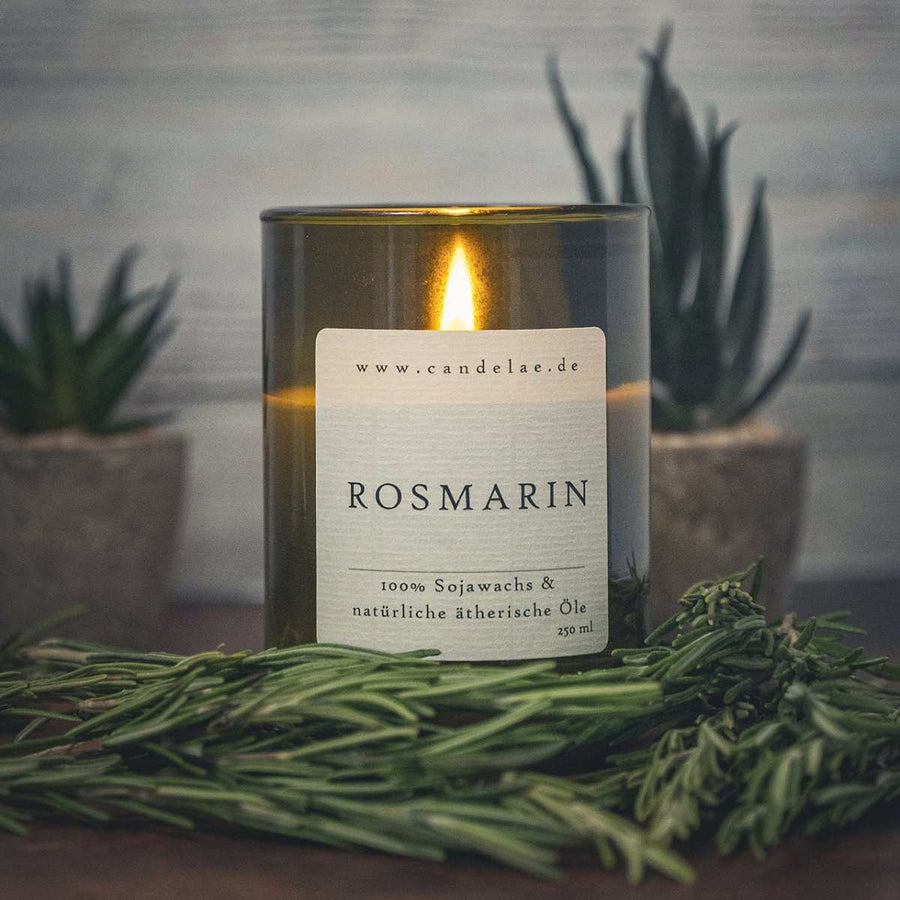 Rosemary Scented Candle – Herbal Scent, Clarity & Focus