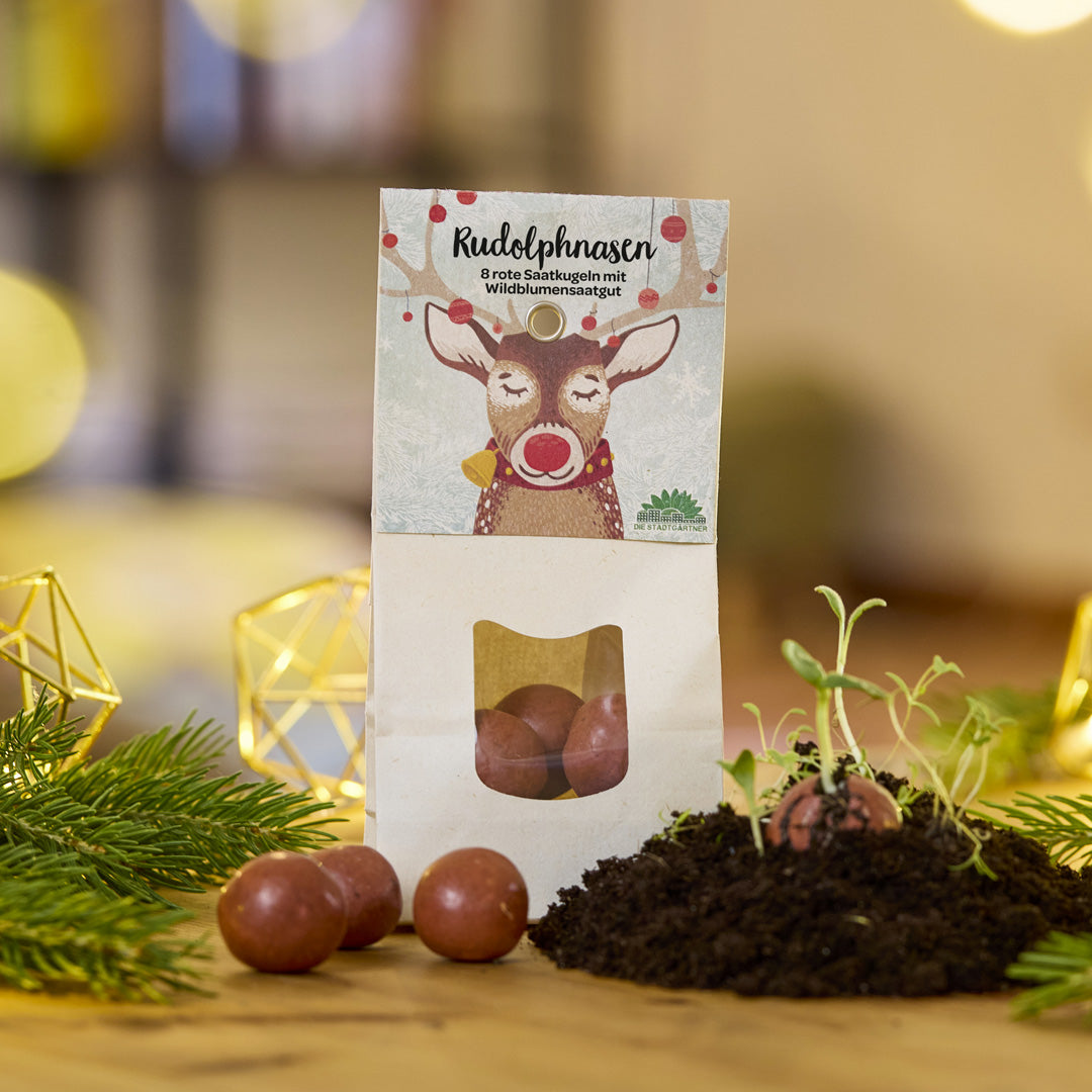 Rote Blumenmurmeln als Rudolphnasen zu Weihnachten
