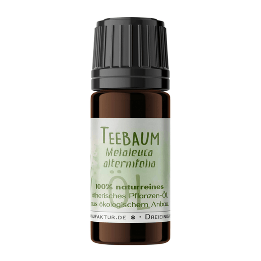 Teebaum ätherisches Öl – Produktansicht