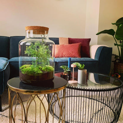 DIY-Flaschengarten Christmas mit Terrarium-Zubehör für den eigenen Aufbau