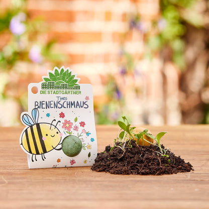 3 Blumenmurmeln – bunte Saatkugeln mit Wildblumen