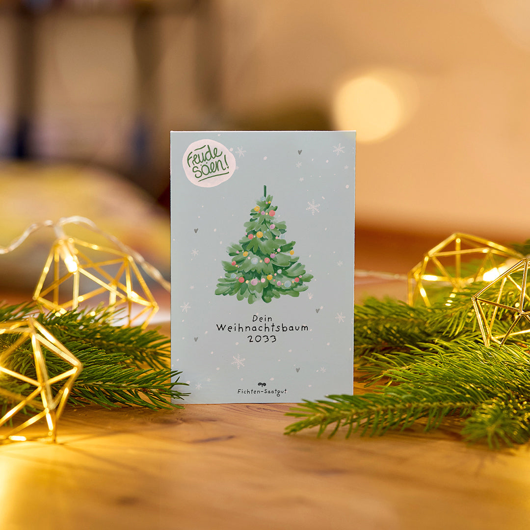 Fichten-Saatgut Weihnachtsbaum 2033 als nachhaltige Geschenkidee zu Weihnachten