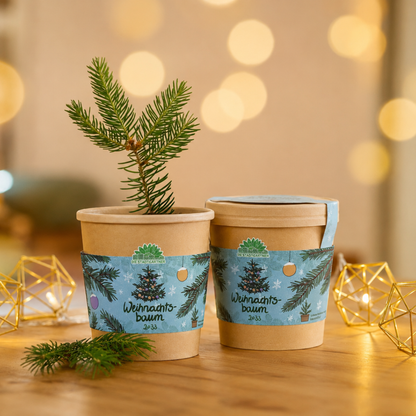 Weihnachtsbaum 2033 Anzuchtset im Becher zum Ziehen einer eigenen Fichte