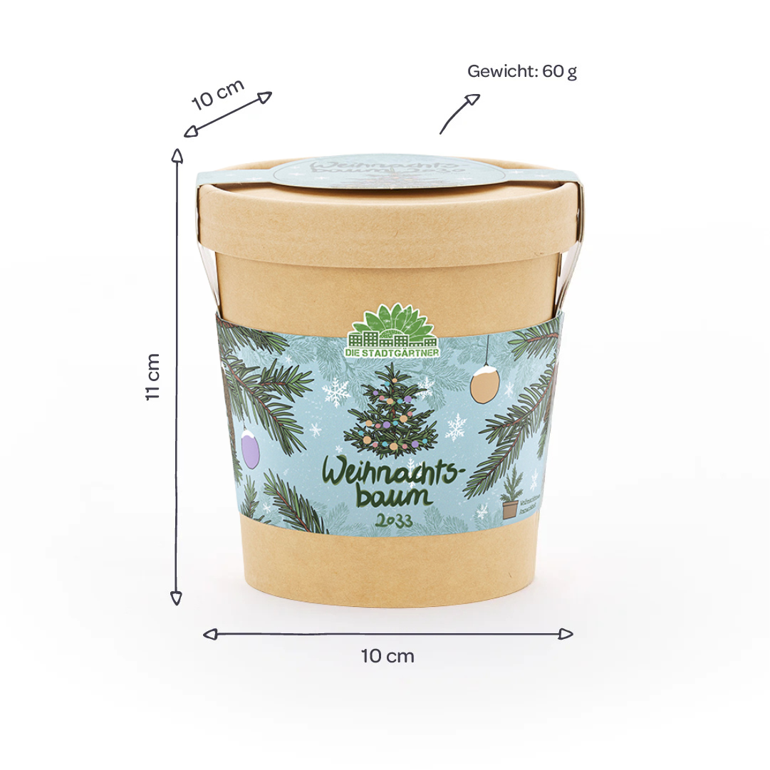 Weihnachtsbaum 2033 Anzuchtset mit Becher und Zubehör für die Fichtenanzucht